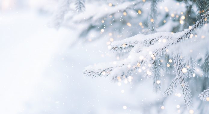 Outside,Christmas,Tree,In,Snow,Background,With,Tree,Lights.